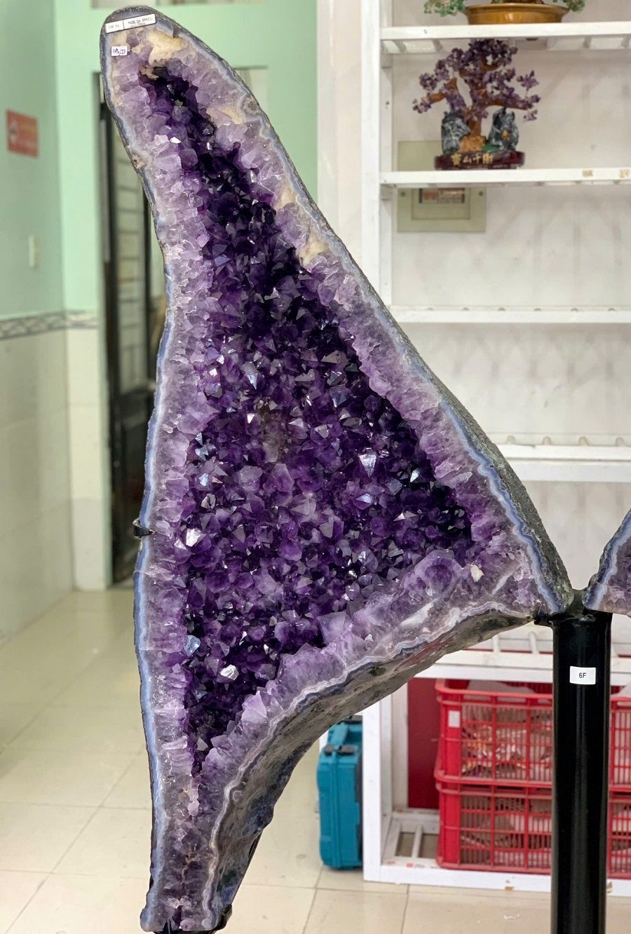 hoc_canh_buom_thach_anh_tim_3